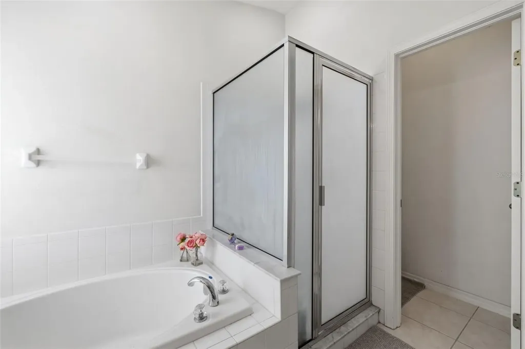 10930 May Apple Court Land O Lakes FL 34638