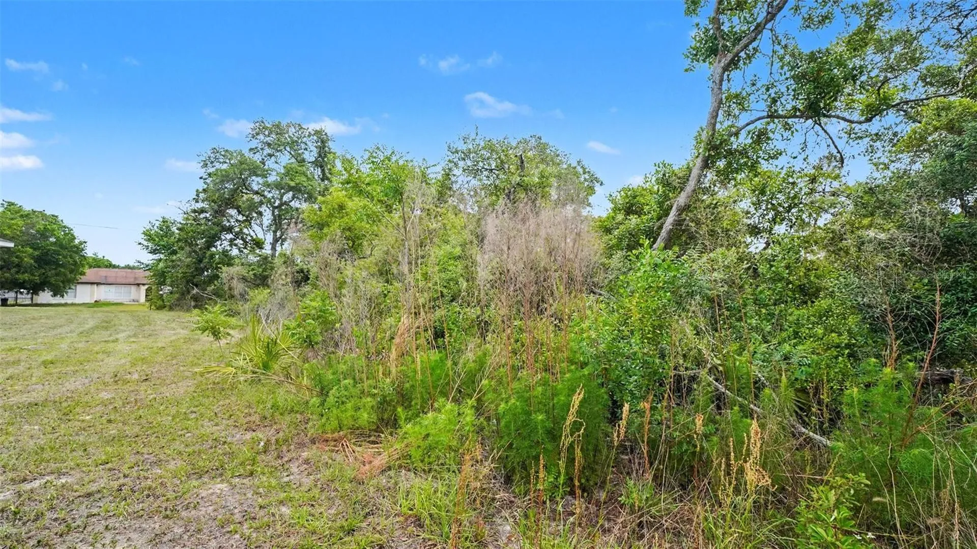 00000 SW 23rd Avenue Road Ocala FL 34473