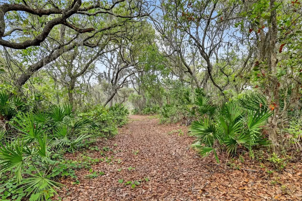 36707 County Road 439 Eustis FL 32736