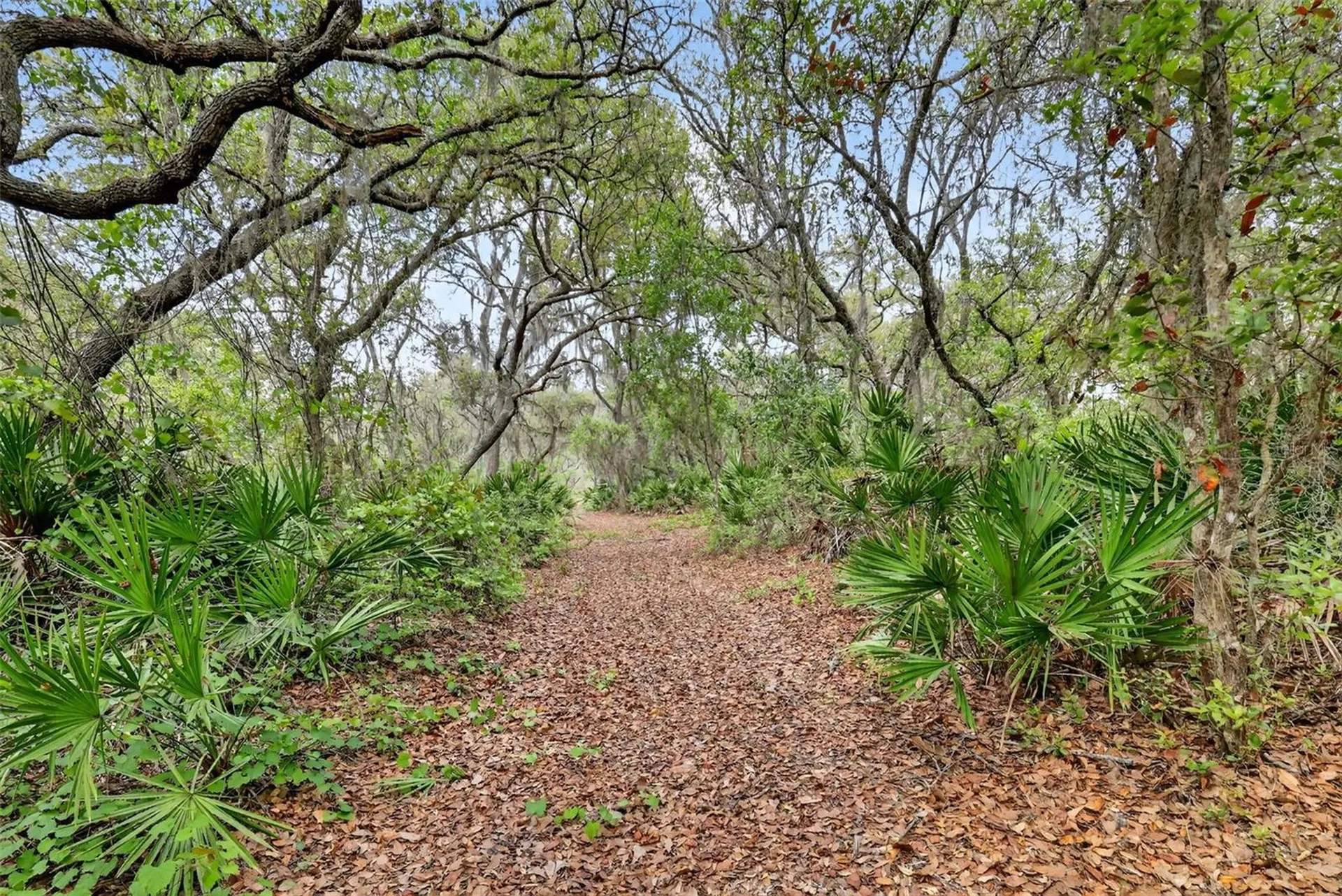 36707 County Road 439 Eustis FL 32736