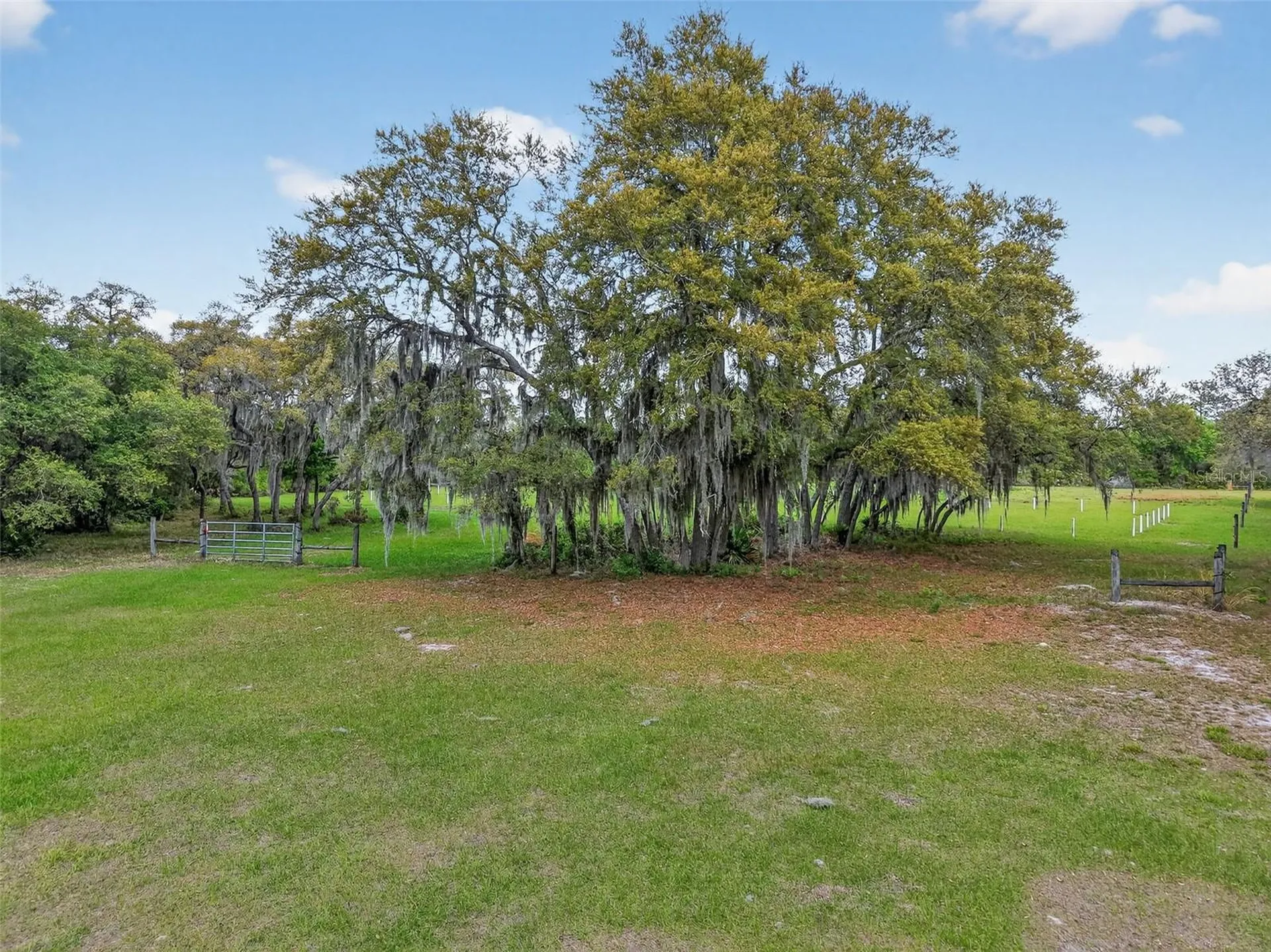 36707 County Road 439 Eustis FL 32736