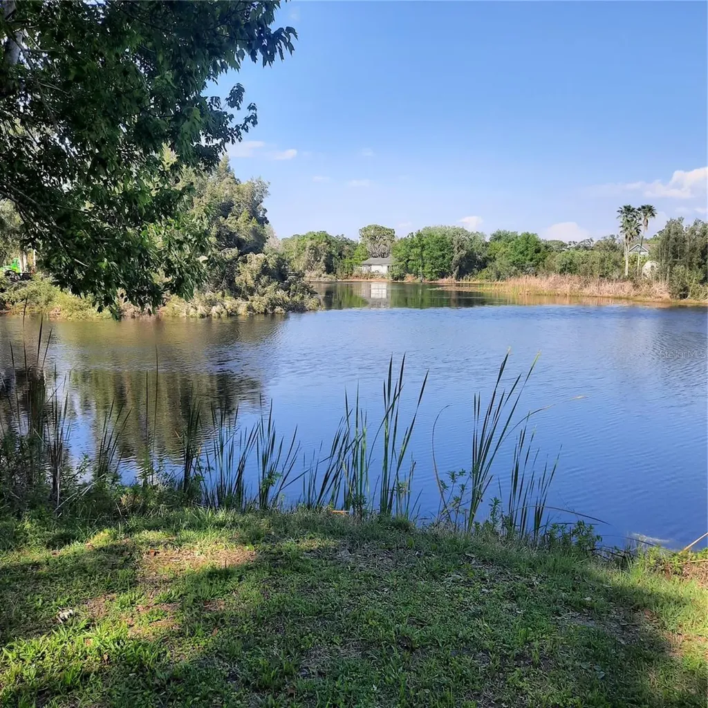 10502 Hinds Place Odessa FL 33556