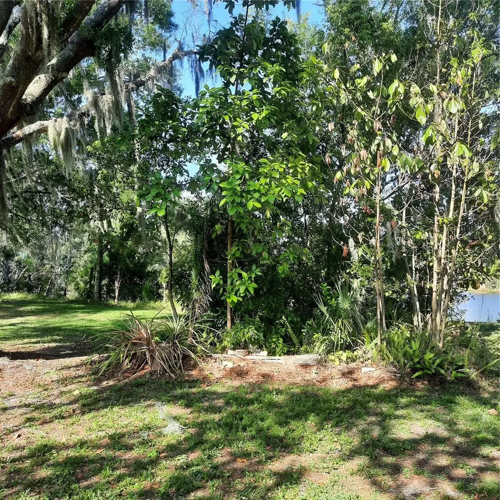 10502 Hinds Place Odessa FL 33556