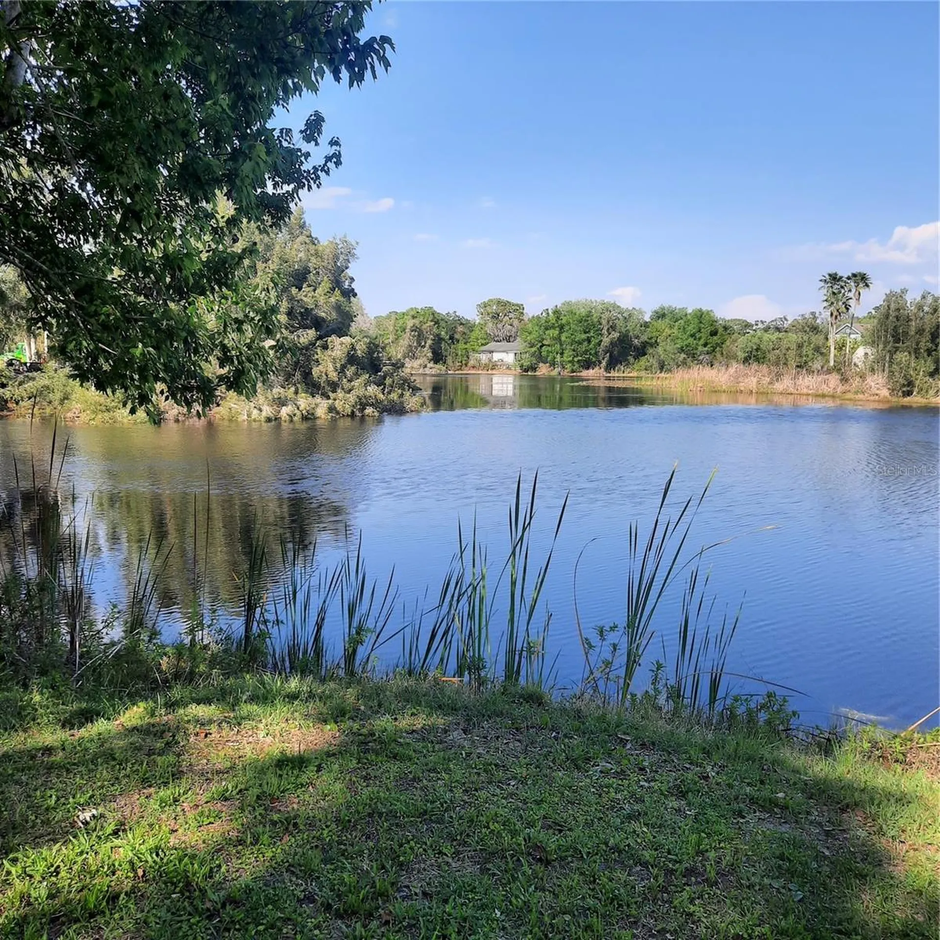 10502 Hinds Place Odessa FL 33556
