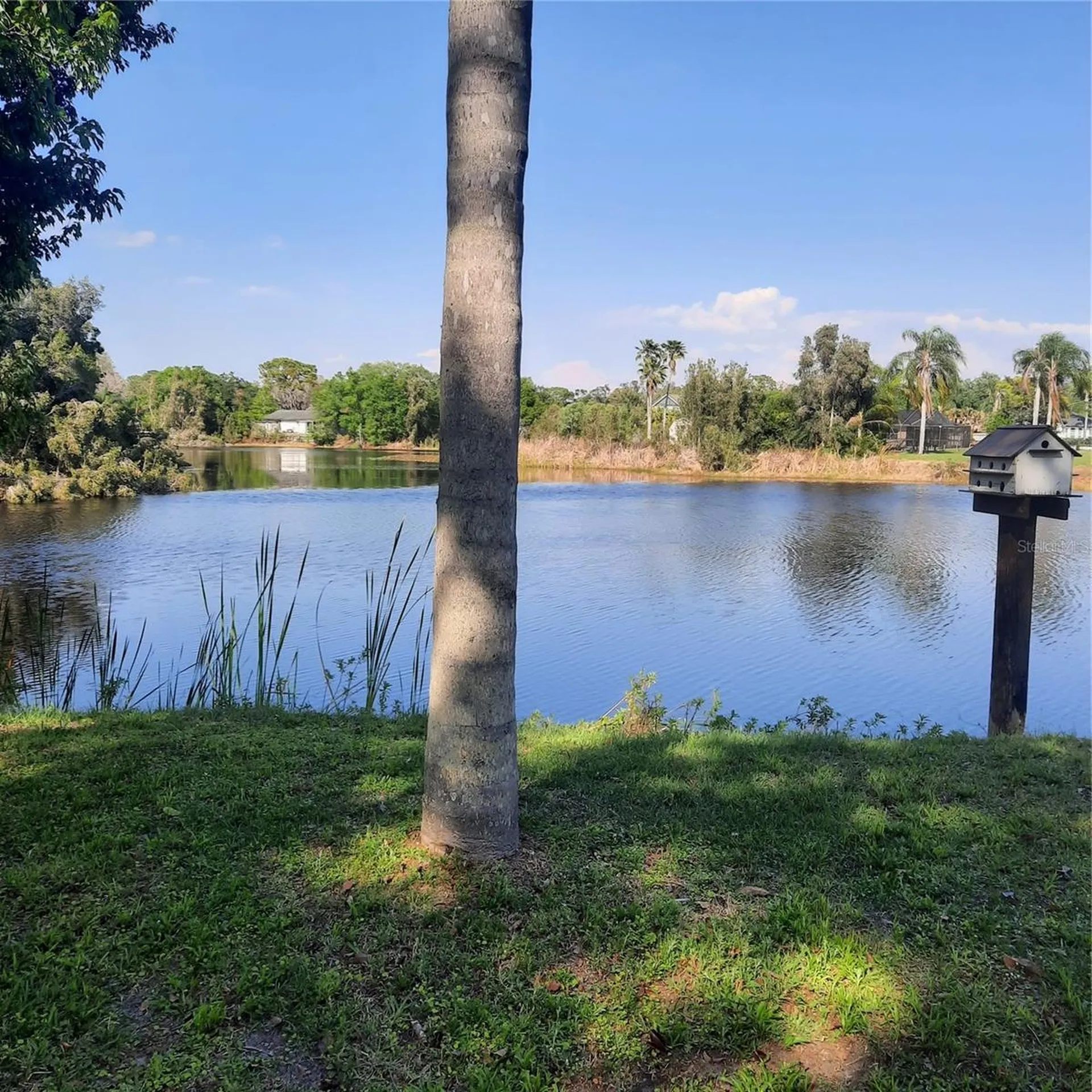 10502 Hinds Place Odessa FL 33556