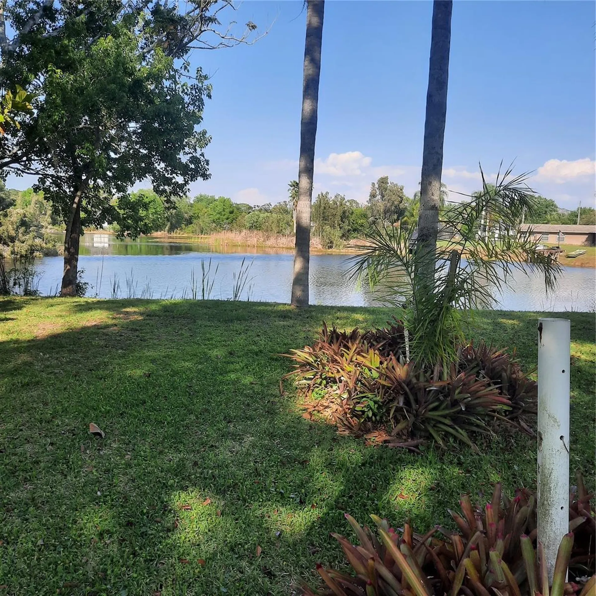 10502 Hinds Place Odessa FL 33556