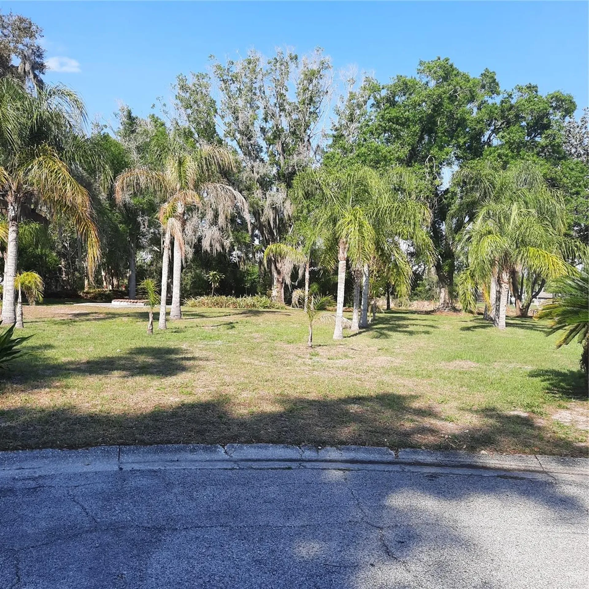 10502 Hinds Place Odessa FL 33556