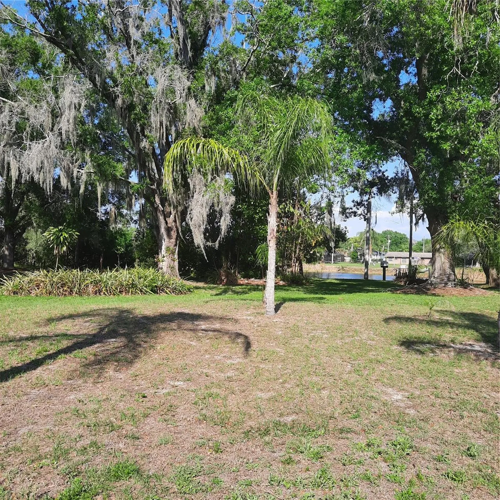 10502 Hinds Place Odessa FL 33556