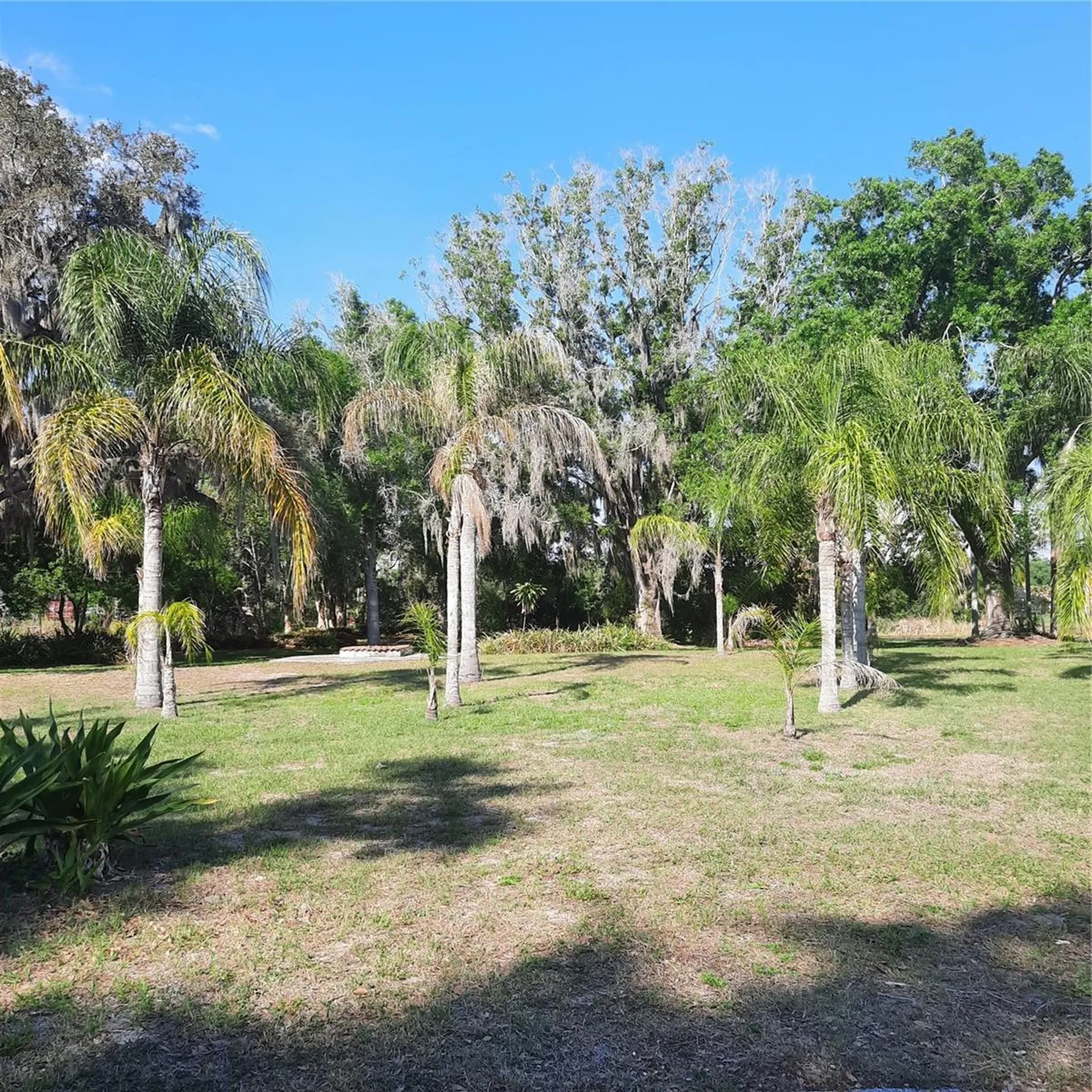 10502 Hinds Place Odessa FL 33556