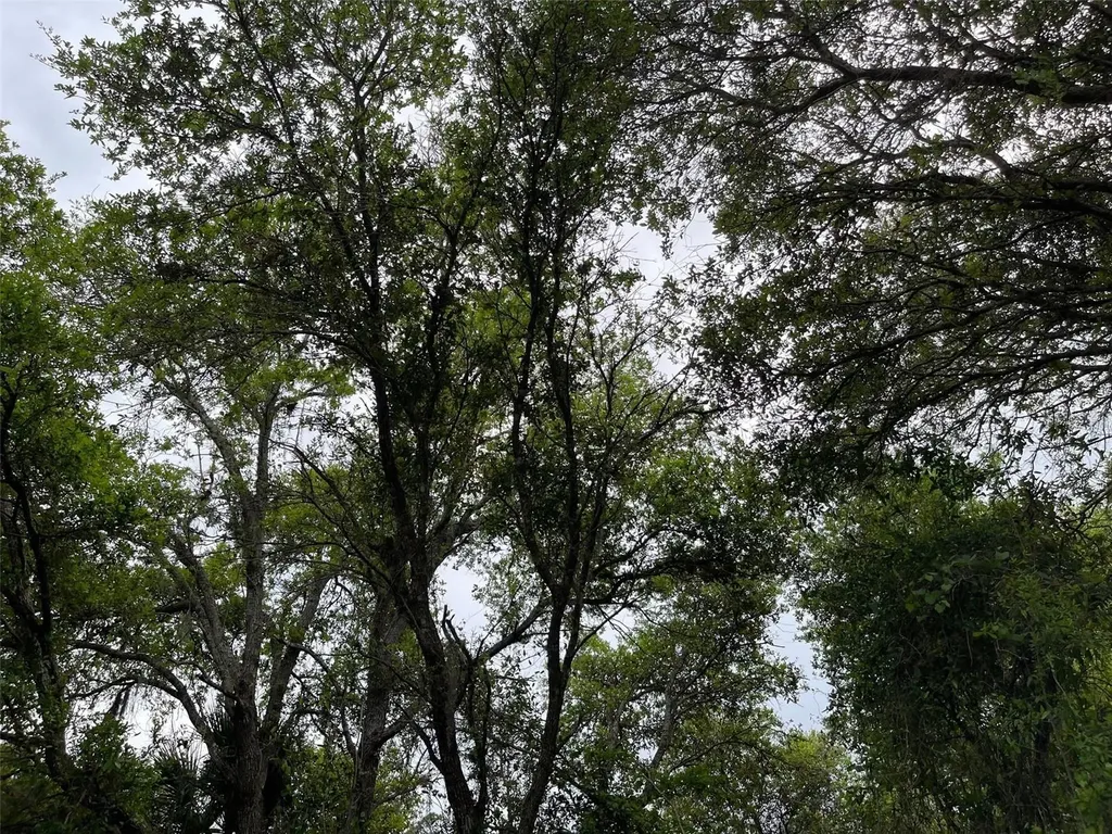 Lot 15 Ananas Road North Port FL 34288