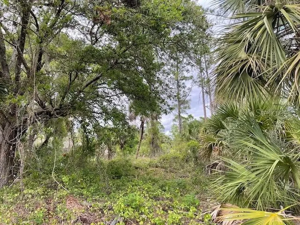 Lot 15 Ananas Road North Port FL 34288