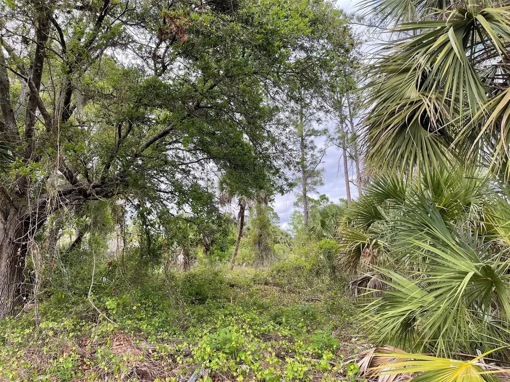 Lot 15 Ananas Road North Port FL 34288