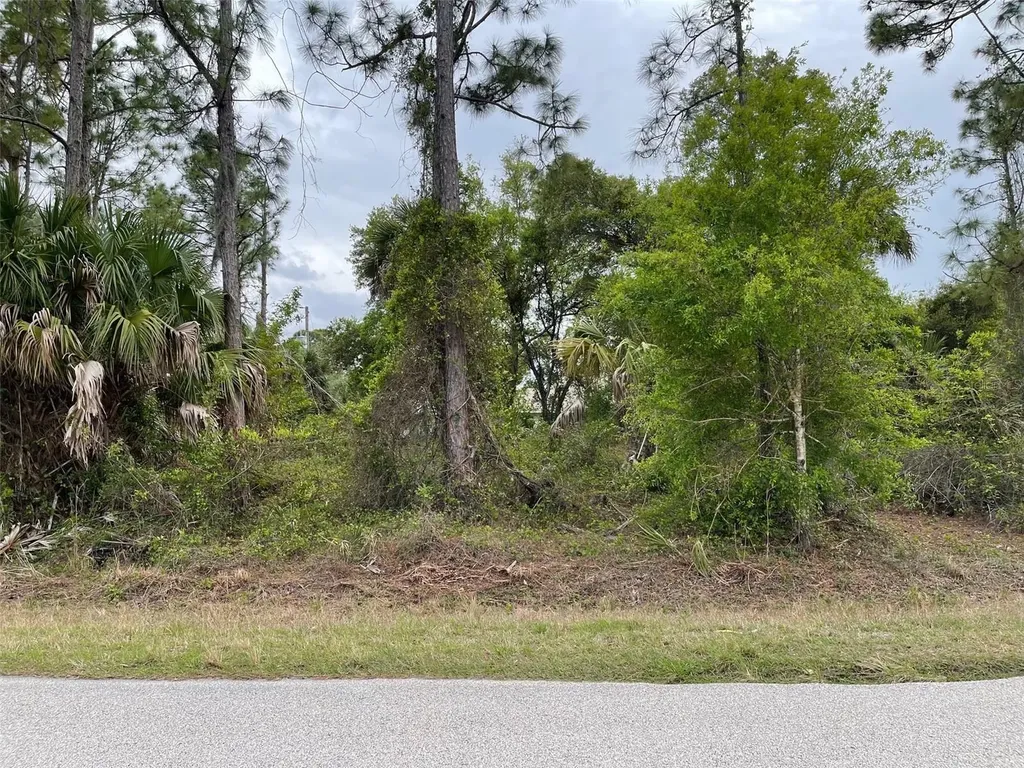 Lot 15 Ananas Road North Port FL 34288
