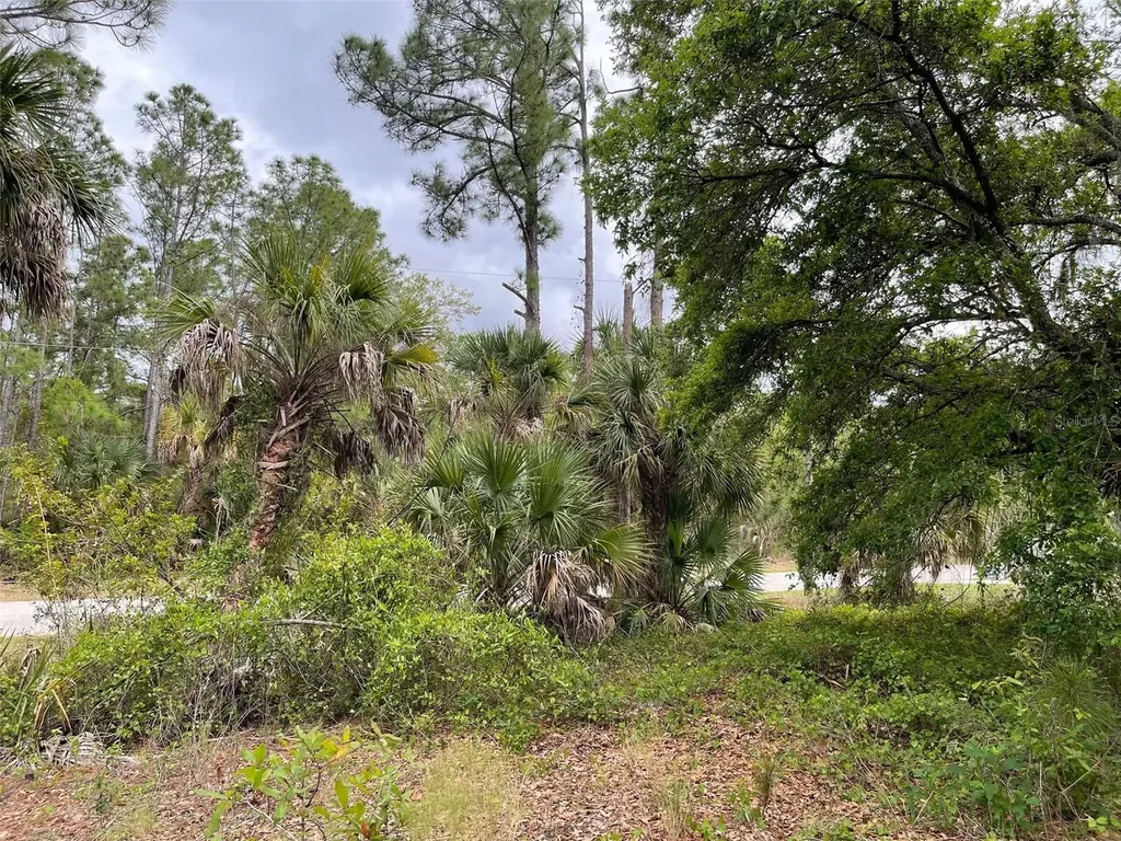 Lot 15 Ananas Road North Port FL 34288