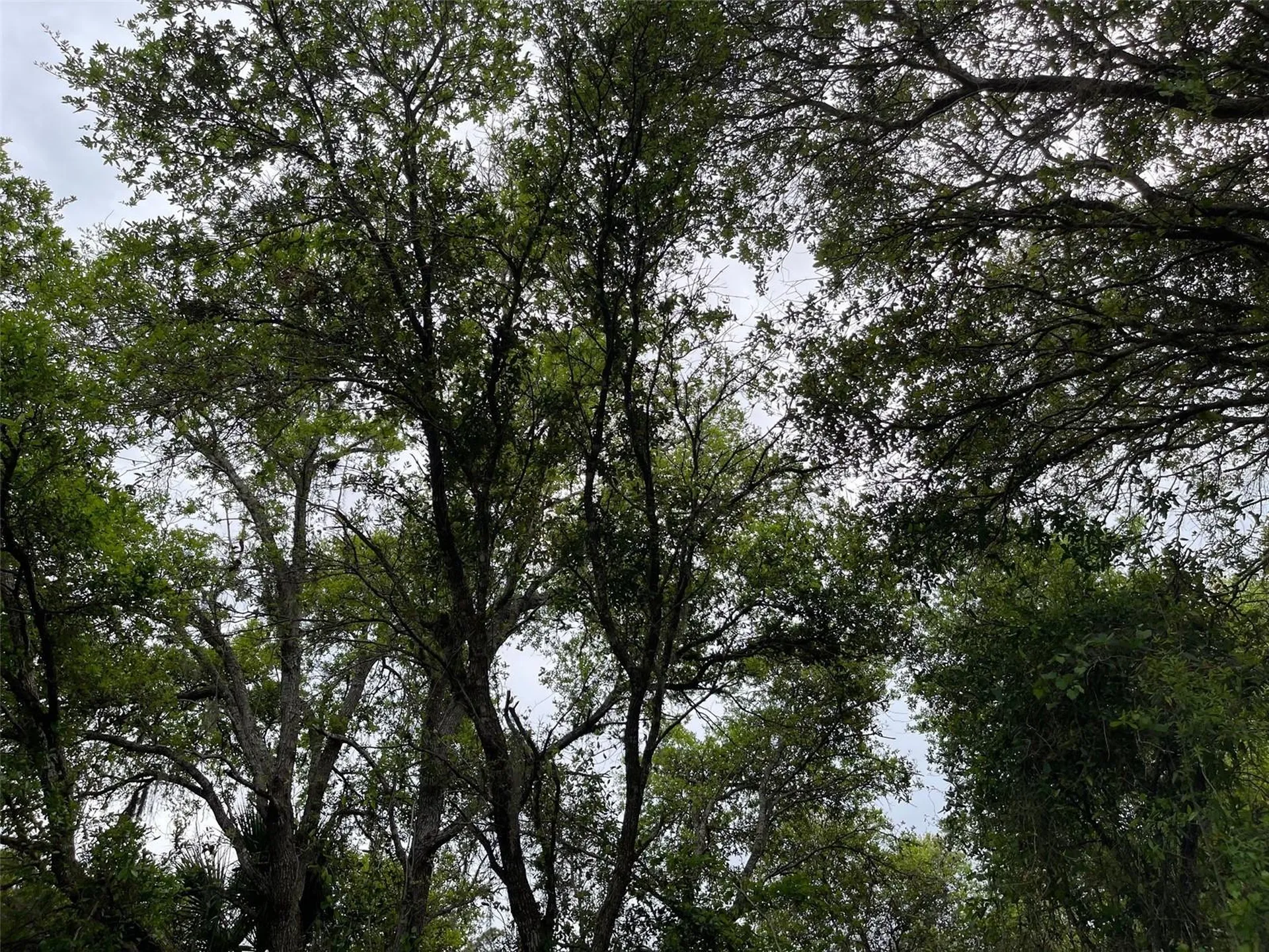 Lot 15 Ananas Road North Port FL 34288