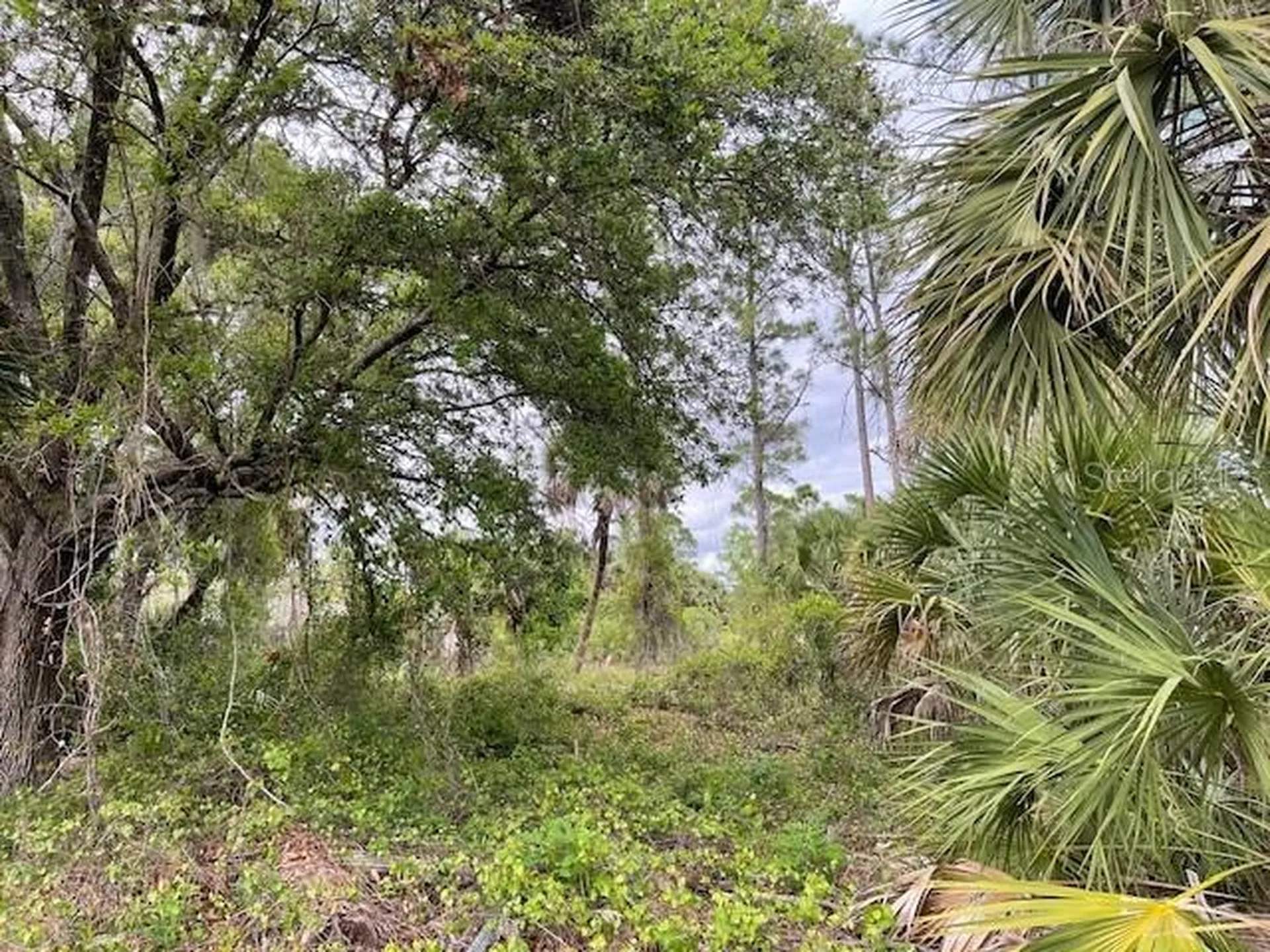 Lot 15 Ananas Road North Port FL 34288
