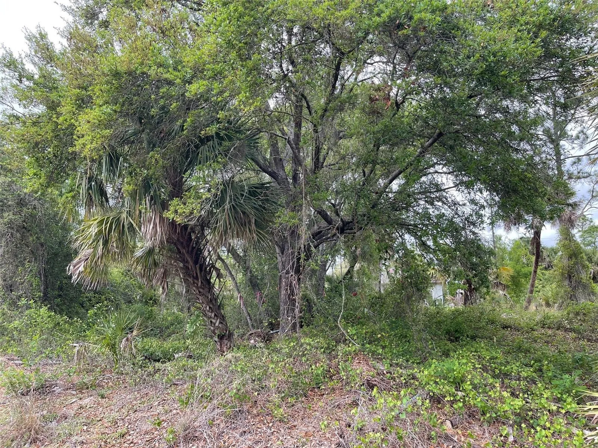 Lot 15 Ananas Road North Port FL 34288