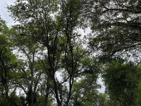 Lot 15 Ananas Road North Port FL 34288