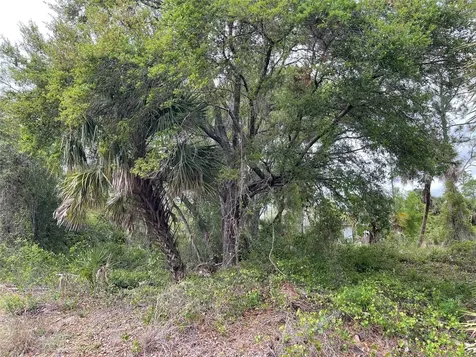 Lot 15 Ananas Road North Port FL 34288
