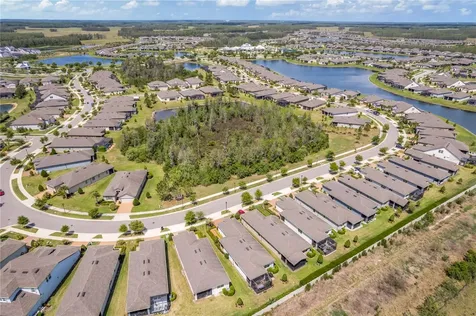 19367 Coastal Shore Terrace Land O Lakes FL 34638