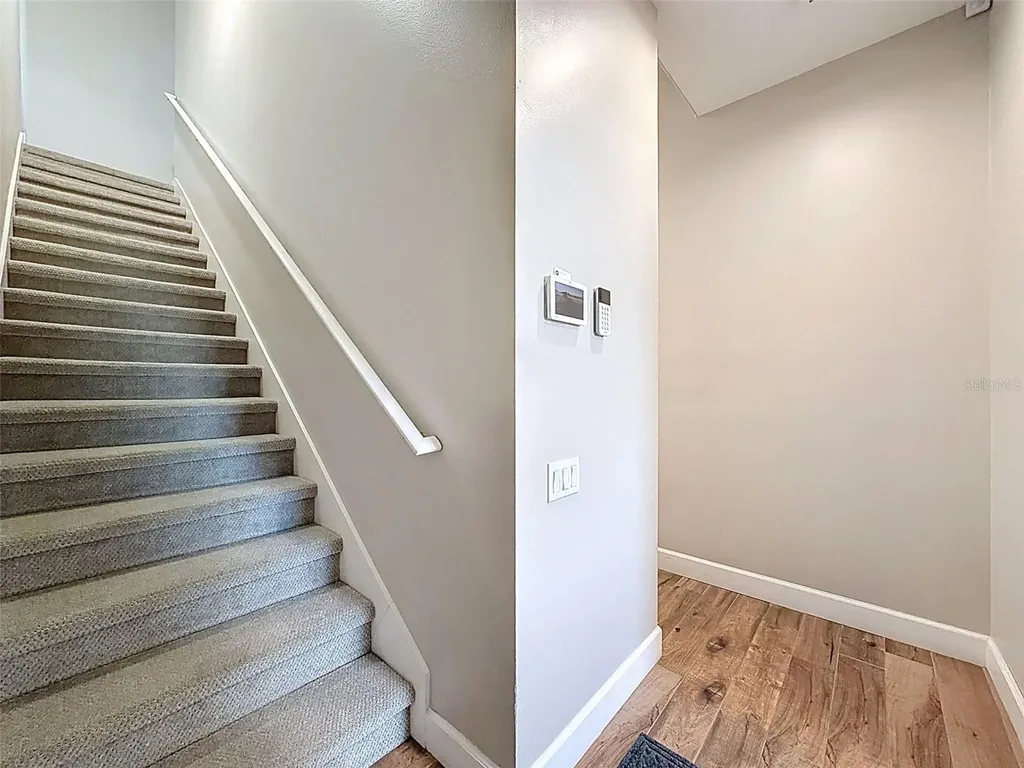 3997 Mimosa Place Palm Harbor FL 34685