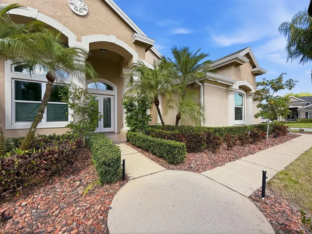 3997 Mimosa Place Palm Harbor FL 34685
