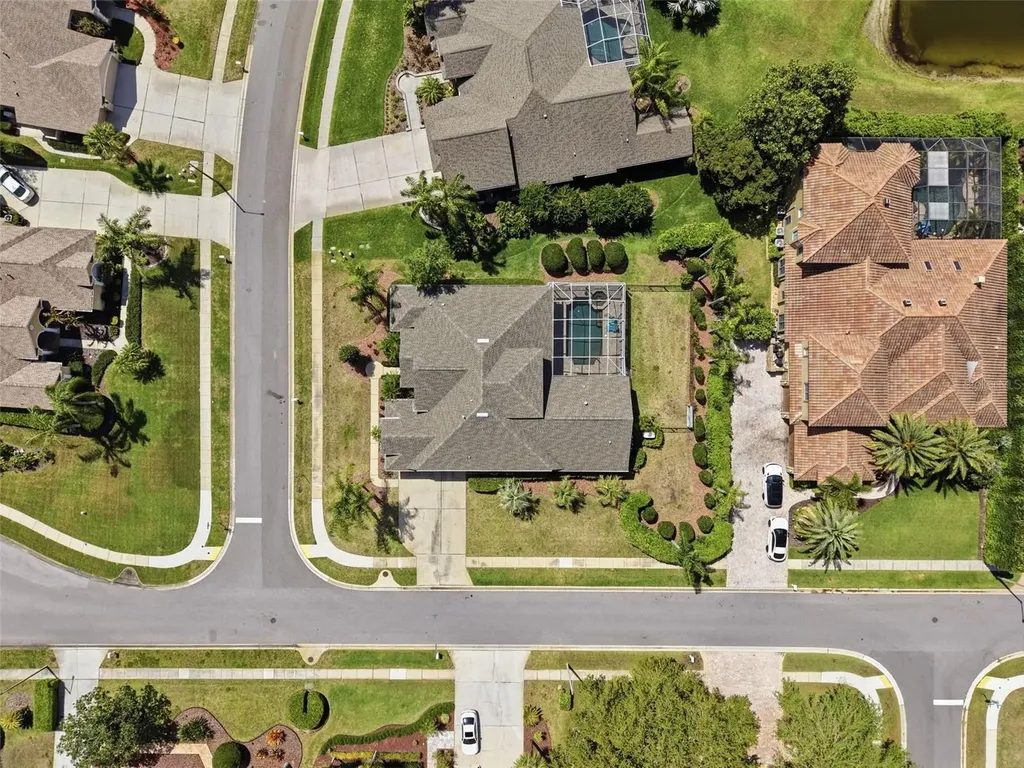 3997 Mimosa Place Palm Harbor FL 34685