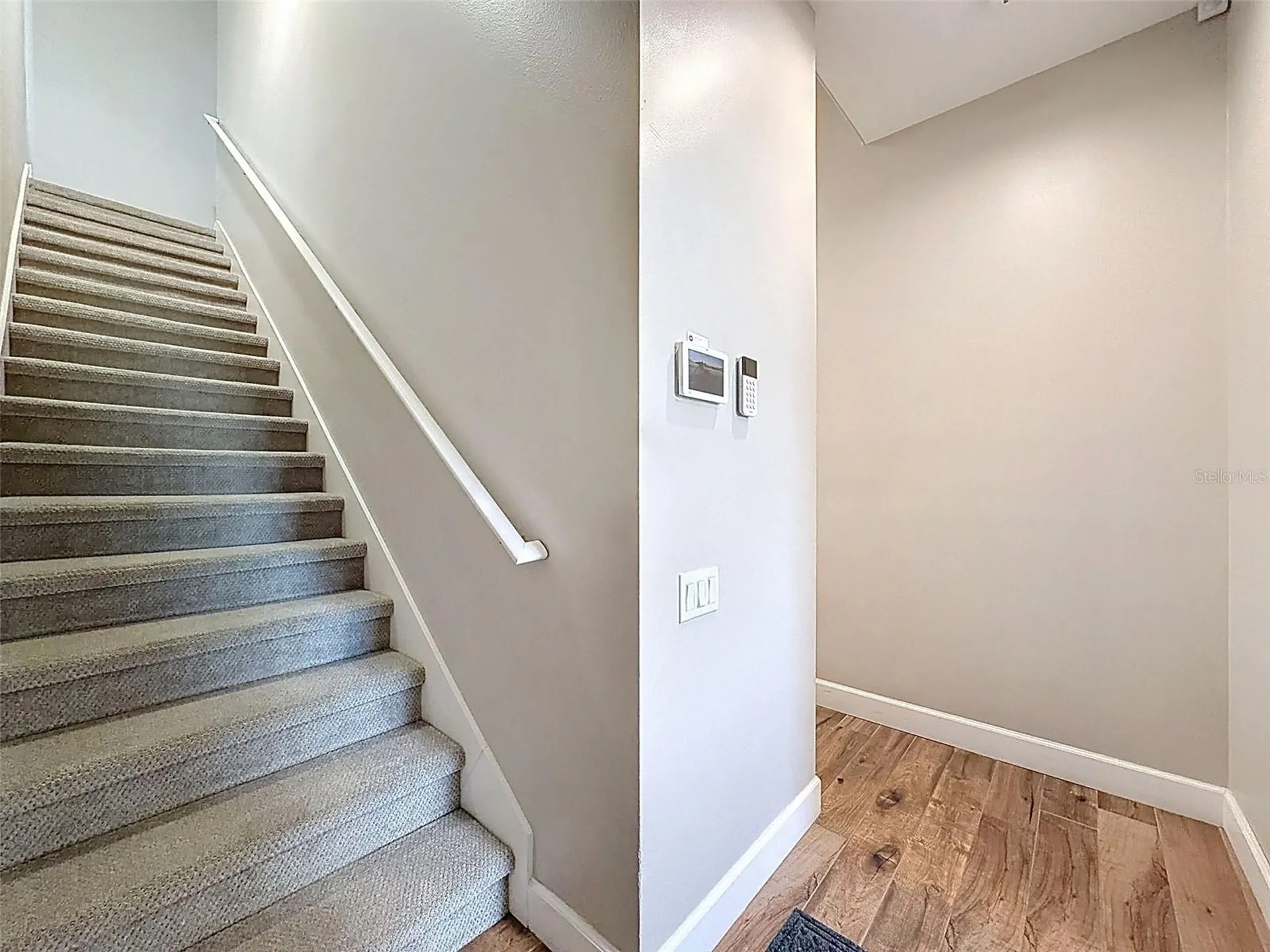 3997 Mimosa Place Palm Harbor FL 34685
