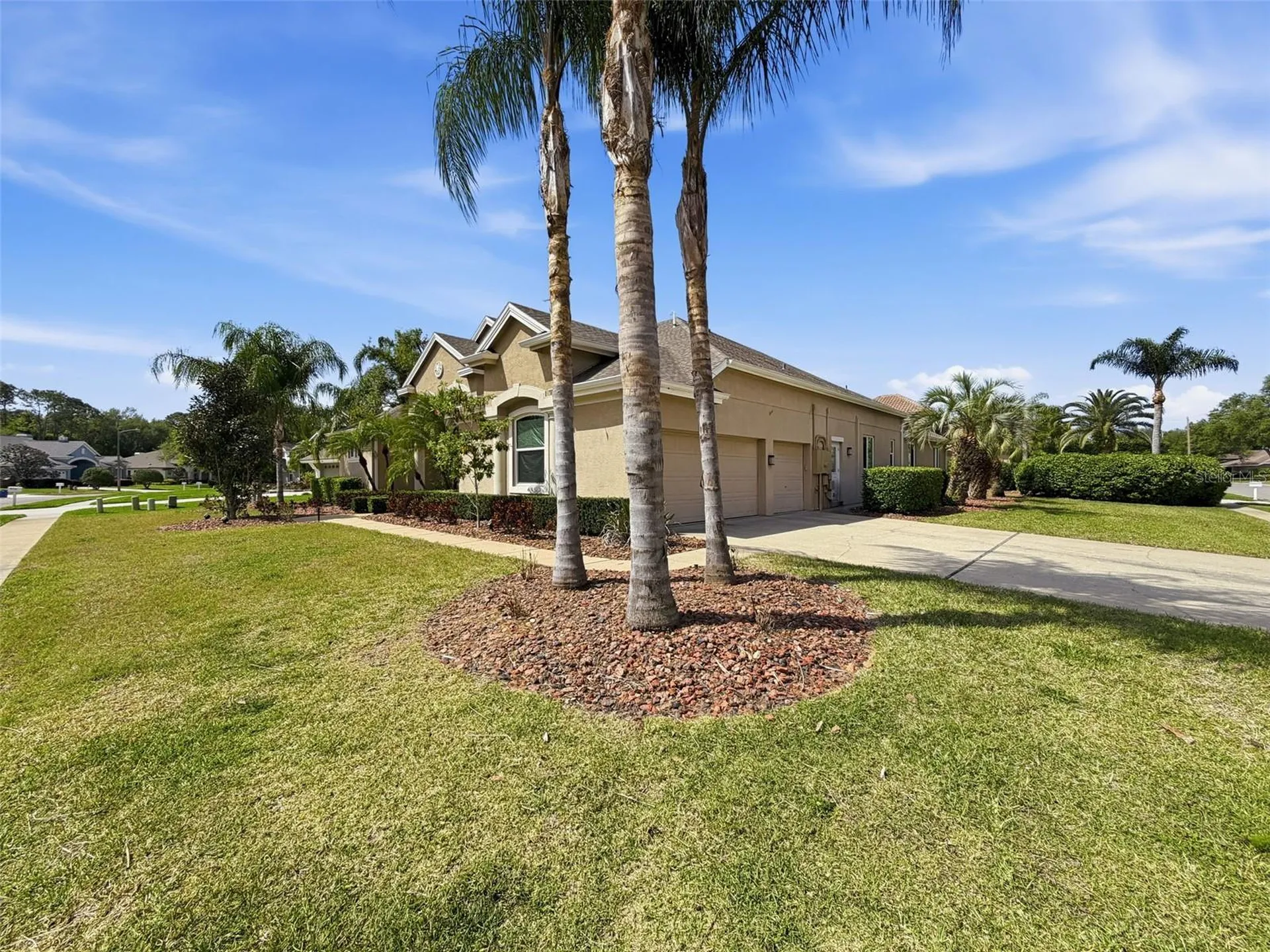 3997 Mimosa Place Palm Harbor FL 34685