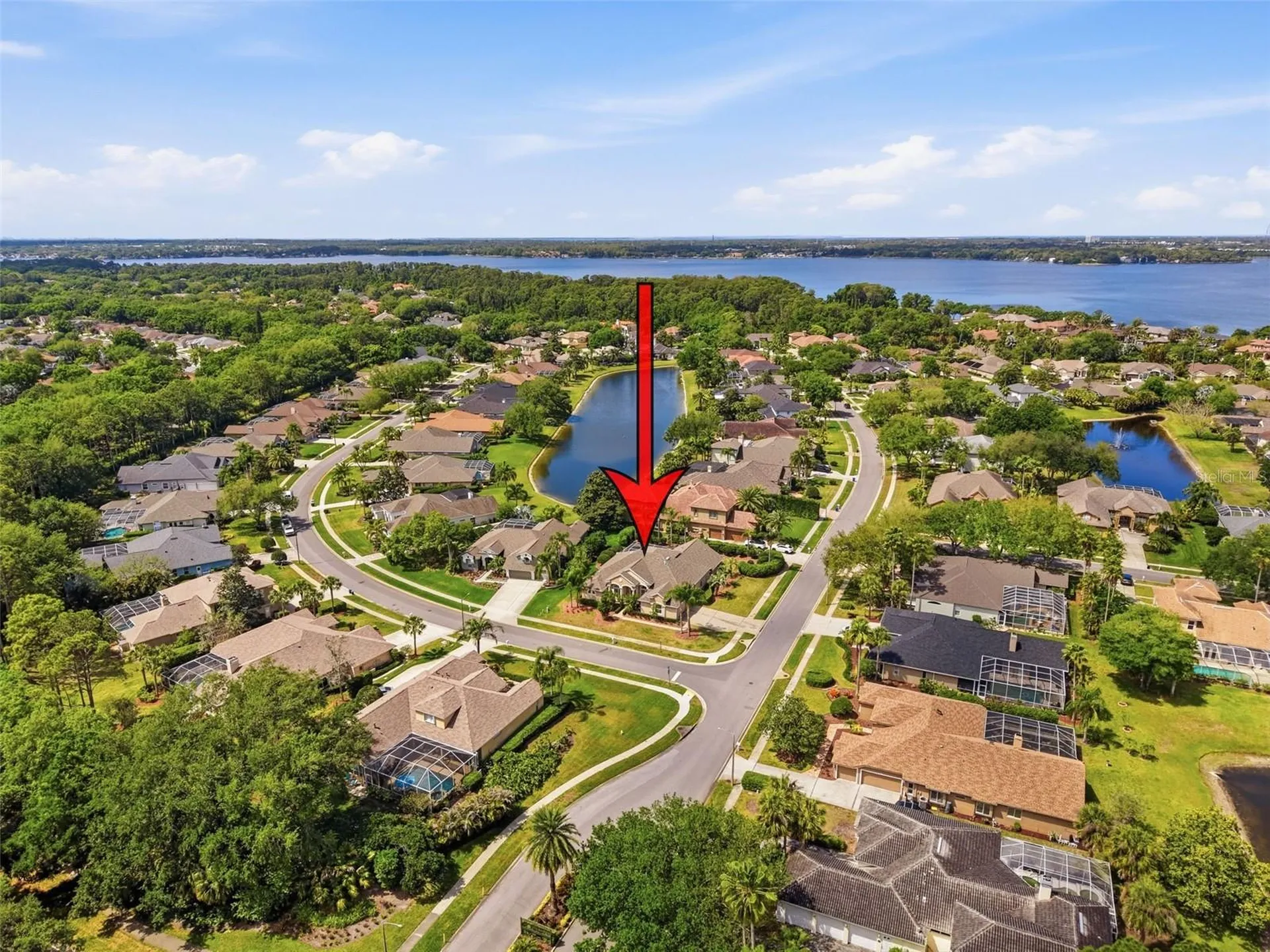 3997 Mimosa Place Palm Harbor FL 34685