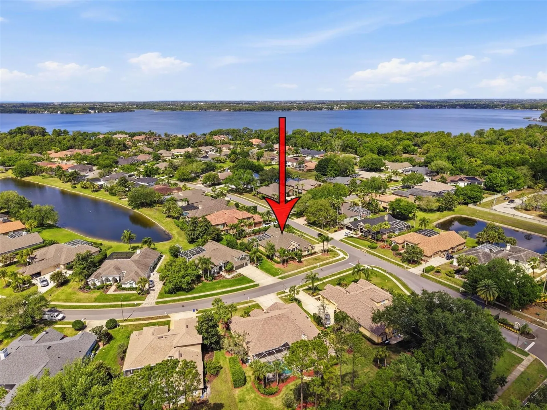 3997 Mimosa Place Palm Harbor FL 34685
