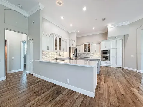 3997 Mimosa Place Palm Harbor FL 34685