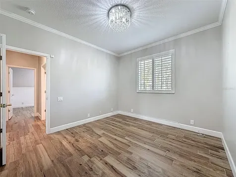 3997 Mimosa Place Palm Harbor FL 34685
