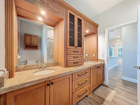 3997 Mimosa Place Palm Harbor FL 34685
