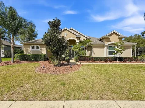 3997 Mimosa Place Palm Harbor FL 34685