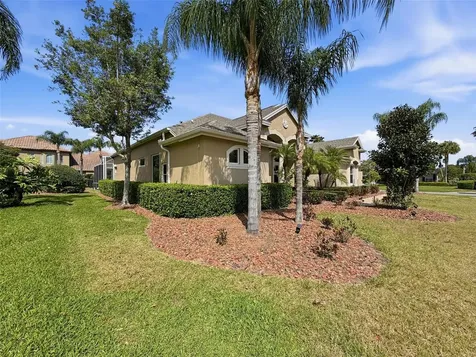 3997 Mimosa Place Palm Harbor FL 34685