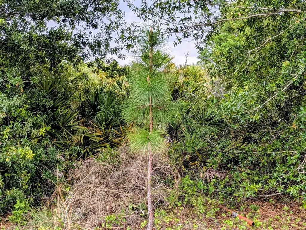 Callaghan Lane North Port FL 34291