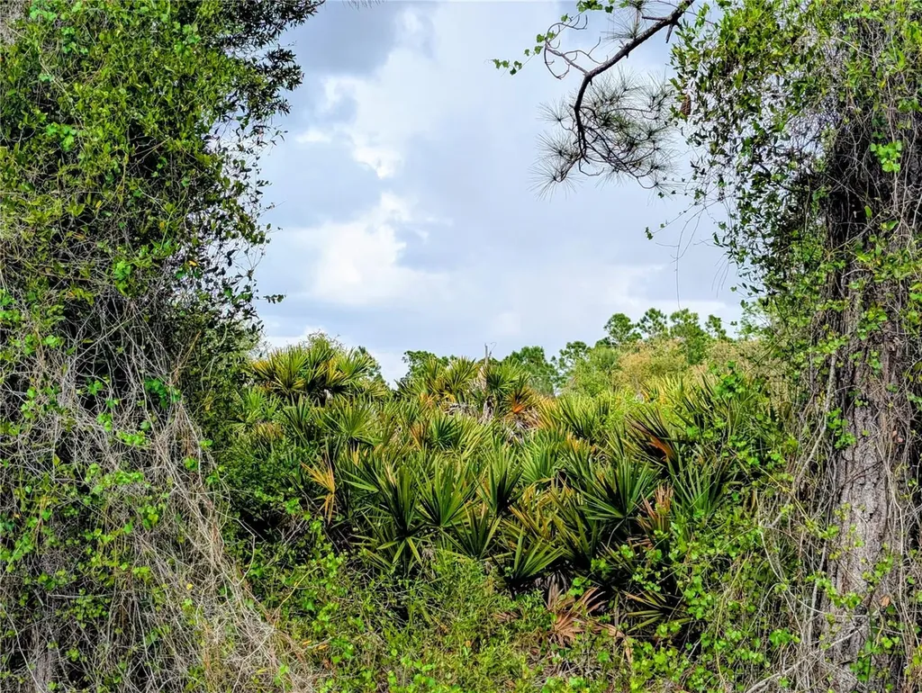 Callaghan Lane North Port FL 34291