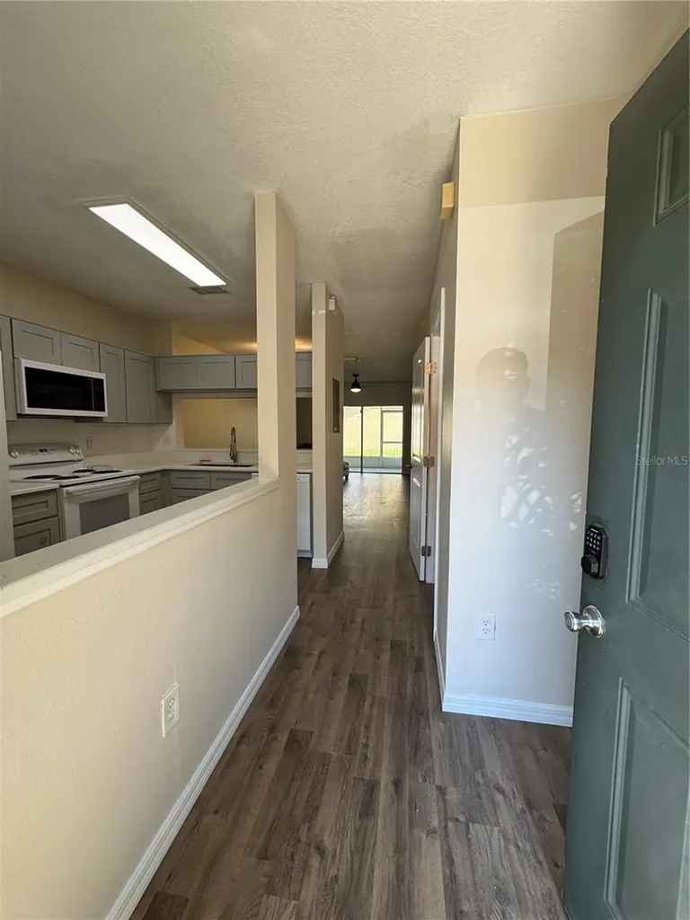 1315 Standridge Drive Wesley Chapel FL 33543