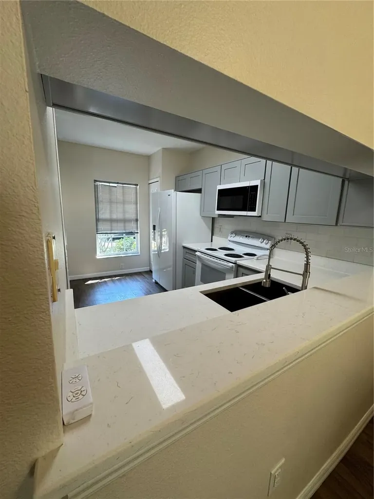 1315 Standridge Drive Wesley Chapel FL 33543