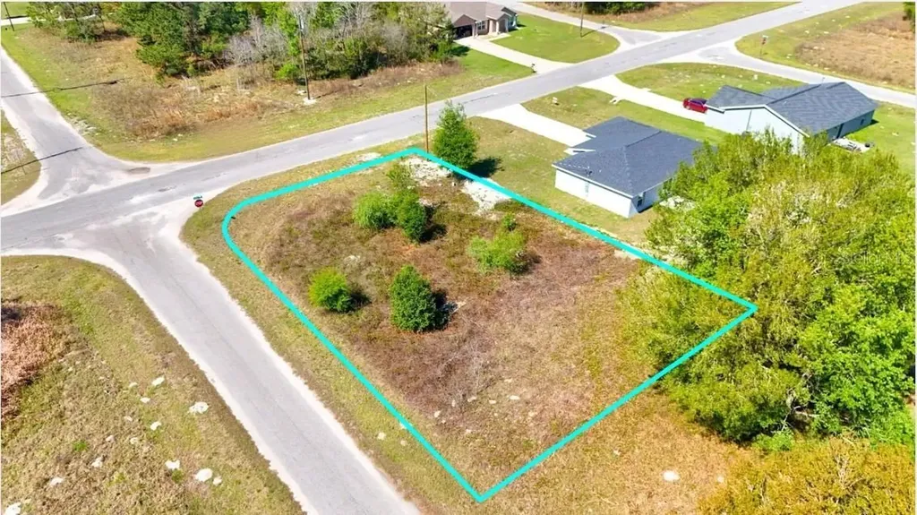 Tbd Corner Lot Fisher Road Ocklawaha FL 32179