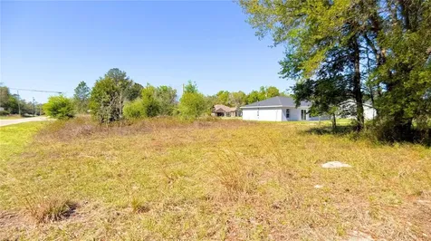 Tbd Corner Lot Fisher Road Ocklawaha FL 32179