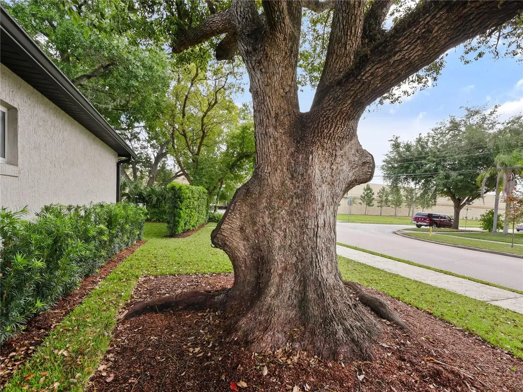 1801 Formosa Avenue Orlando FL 32804