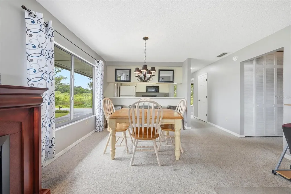 29116 Beauclaire Drive Tavares FL 32778