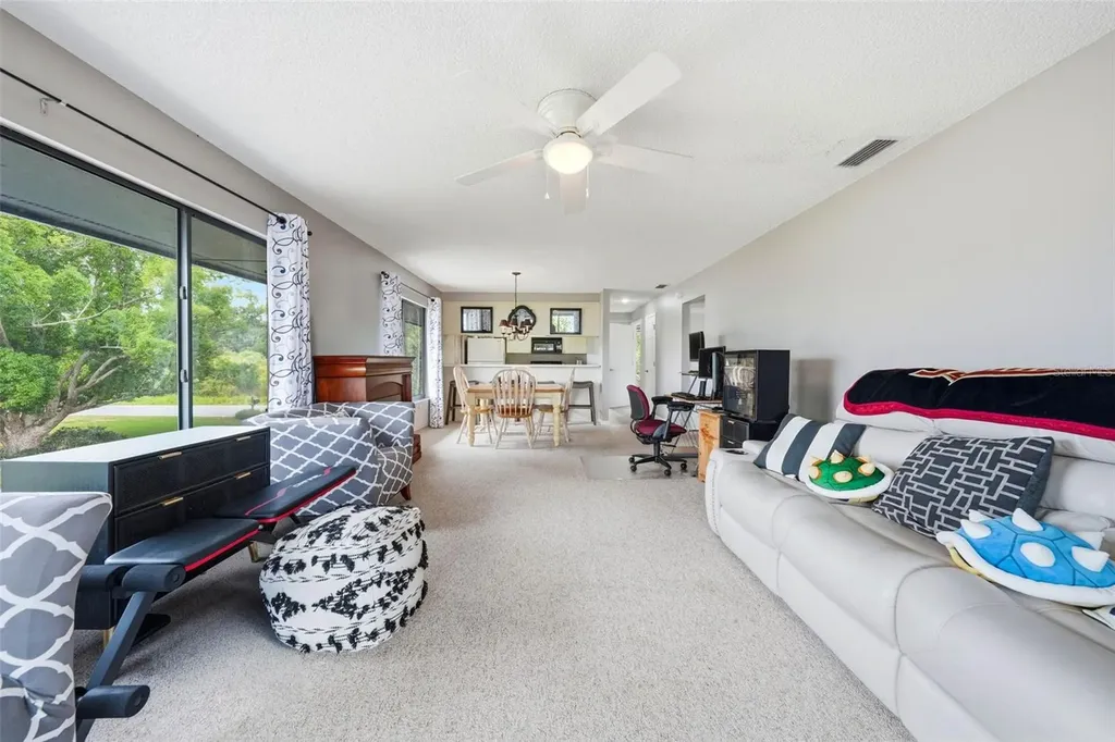 29116 Beauclaire Drive Tavares FL 32778