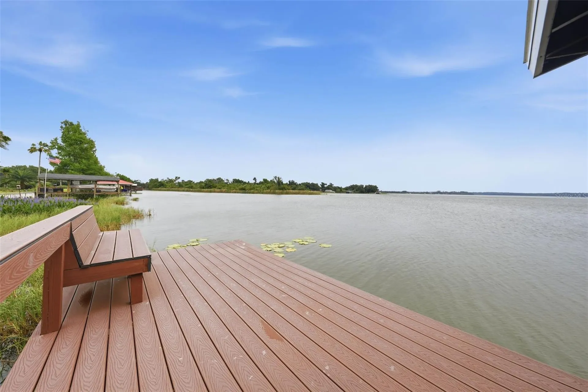 29116 Beauclaire Drive Tavares FL 32778