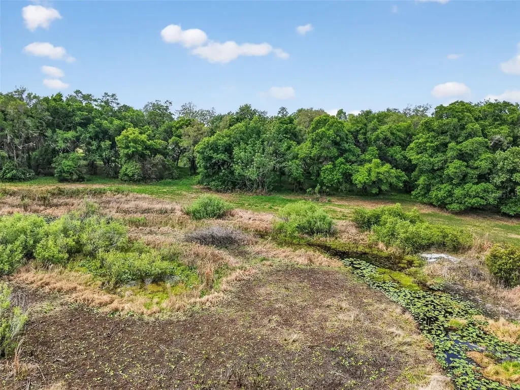 County Line Road Umatilla FL 32784