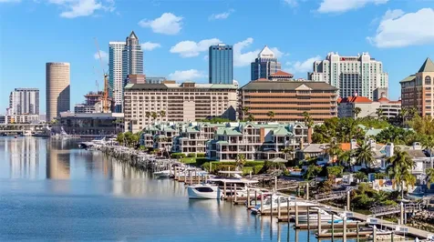 943 Seddon Cove Way Tampa FL 33602