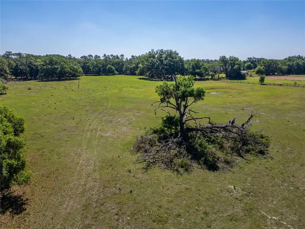 Carlton Road Plant City FL 33565