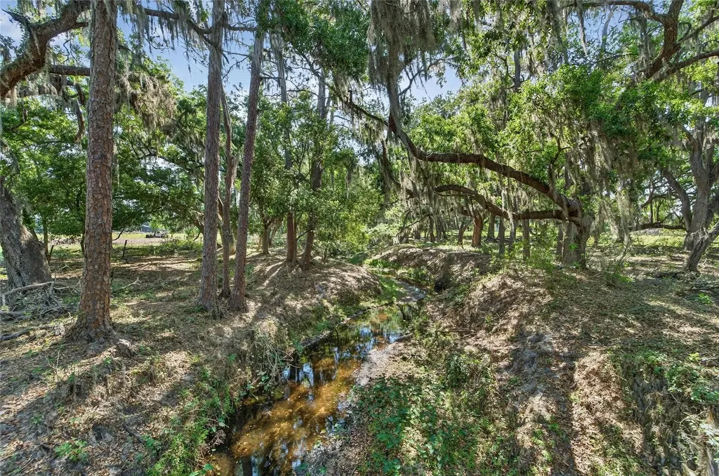 Carlton Road Plant City FL 33565